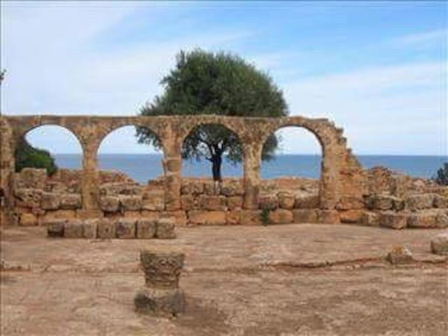 Appartement Ruines Romaines Tipasa Tipaza Εξωτερικό φωτογραφία