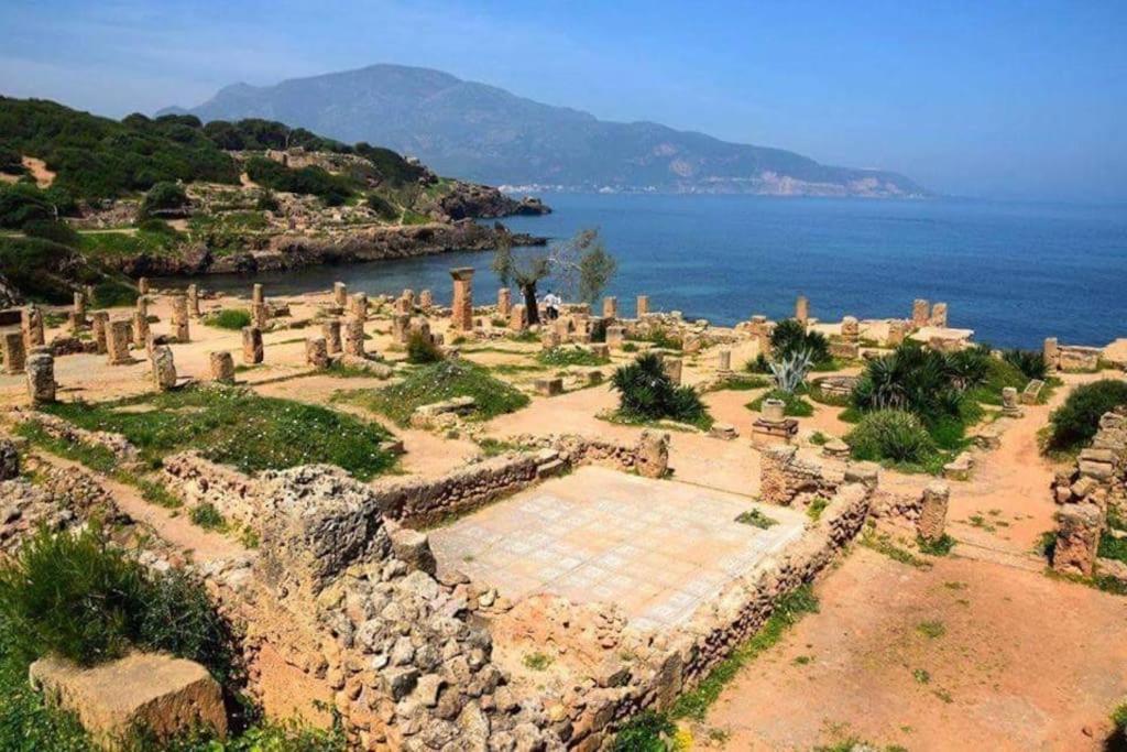 Appartement Ruines Romaines Tipasa Tipaza Εξωτερικό φωτογραφία