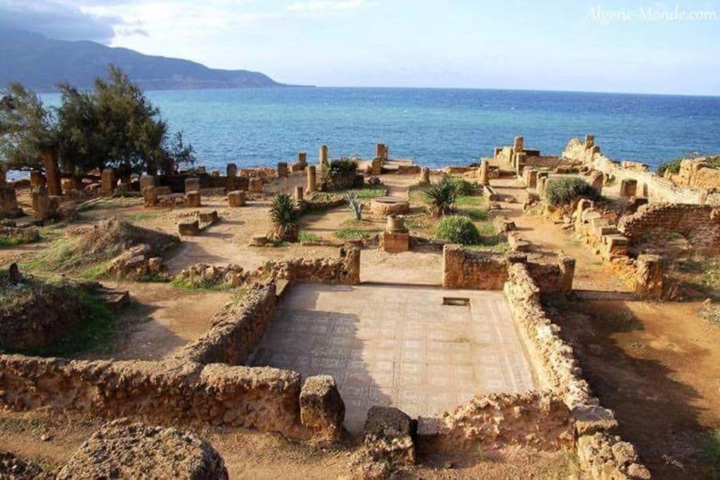 Appartement Ruines Romaines Tipasa Tipaza Εξωτερικό φωτογραφία