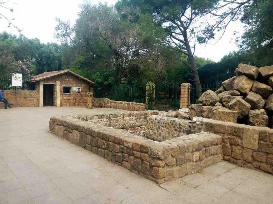 Appartement Ruines Romaines Tipasa Tipaza Εξωτερικό φωτογραφία